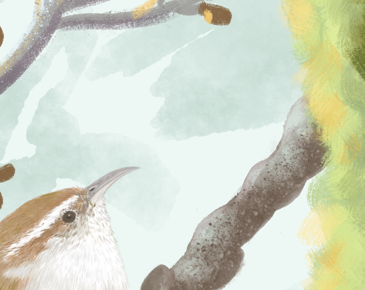 Sneak beak