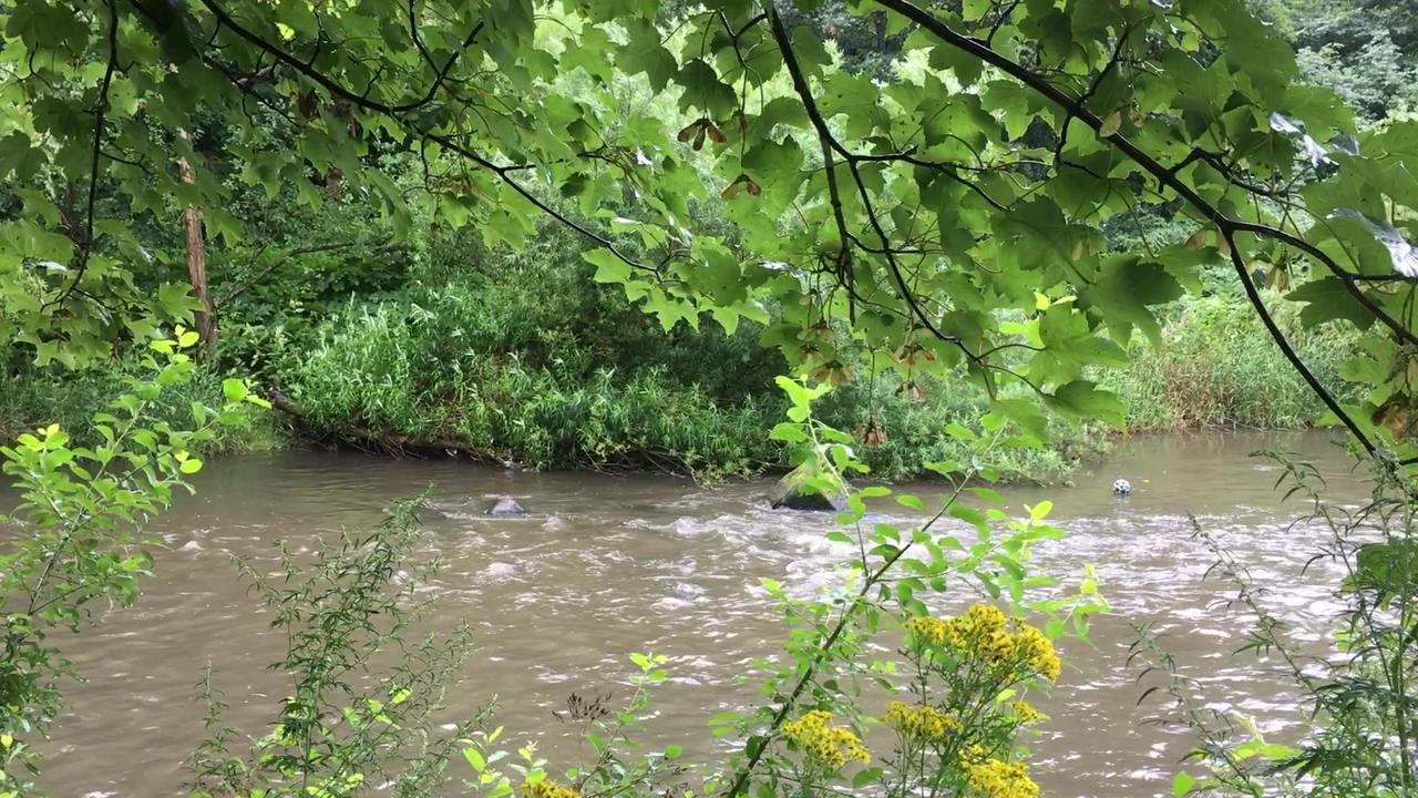 video screenshot of football floating along the river kelvin